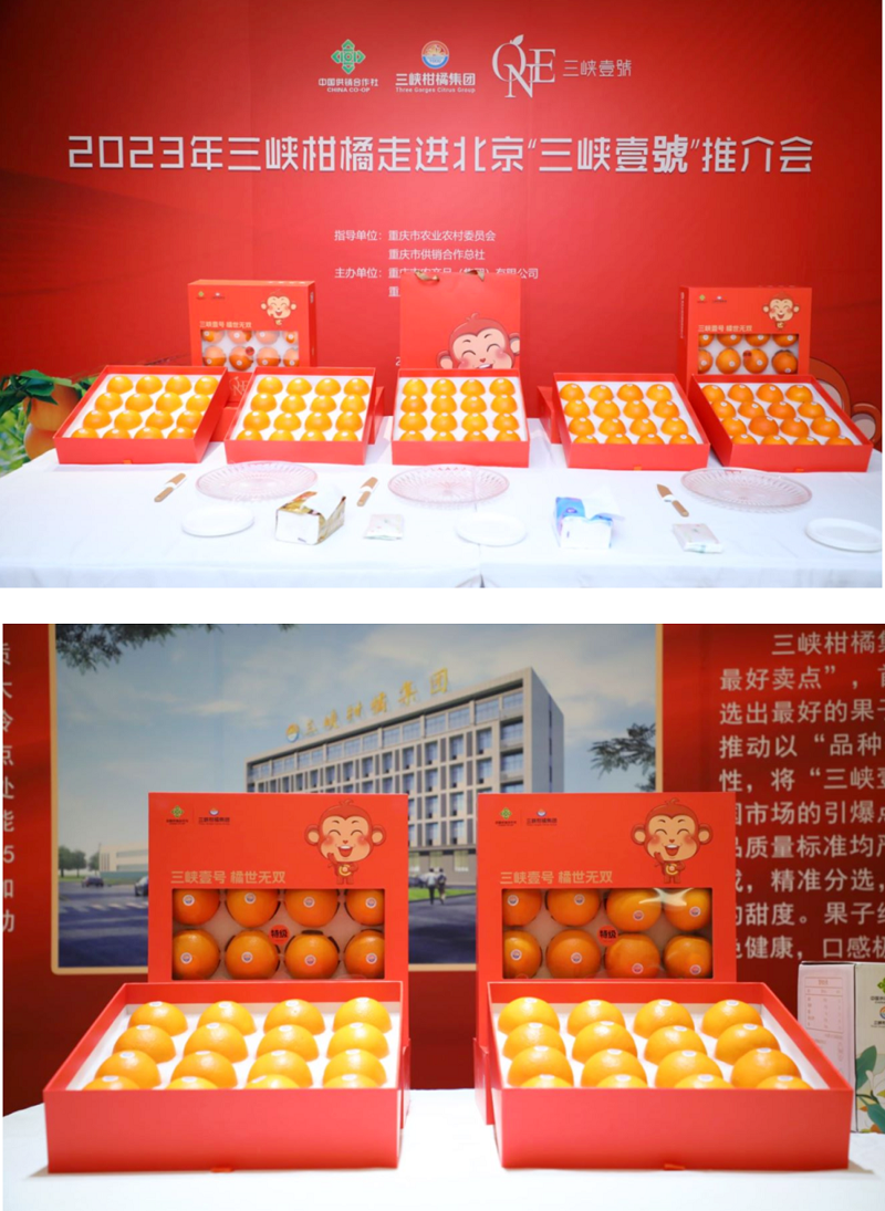 1677849032157208.png 3.png