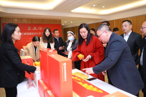 1677849343463998.png 9.png