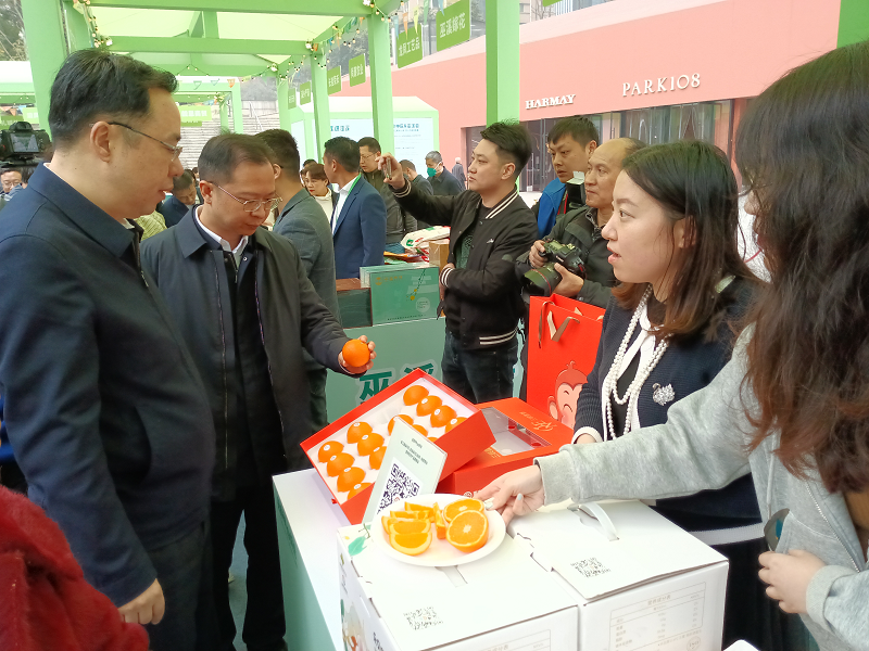 1678347702521639.png 圖片4.png