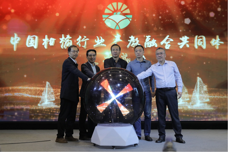 1698196674697442.png 圖片6png.png