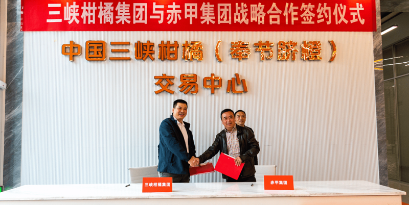 1698992078743993.png 圖片19.png