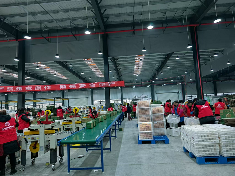 1735112394387227.png 圖片14.png